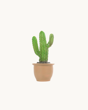 Cactus Lamp