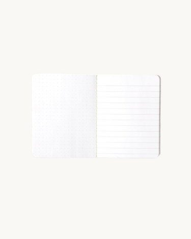 Notebook Panda