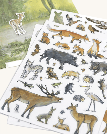 The Forest Magnet Book