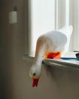 Duck Lamp in Head Down from Heico