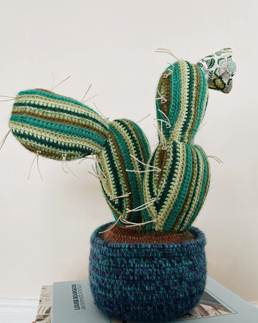 Handmade Knitted Cactus from Creme de la Creme ala Edgar